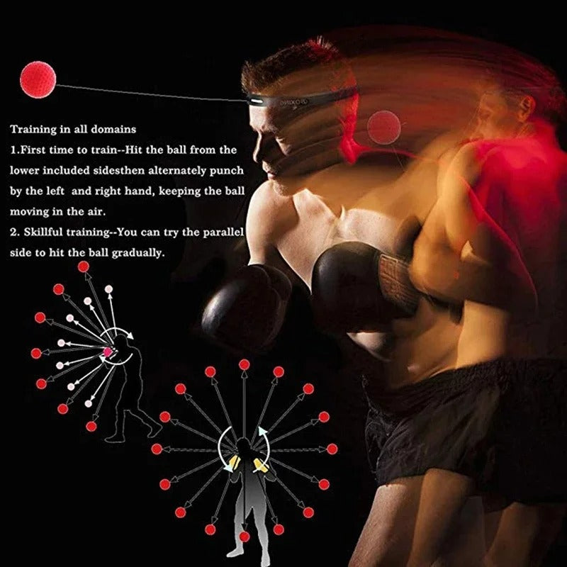 Boxing Speed Ball